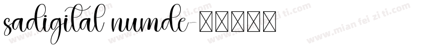 sadigital numde字体转换